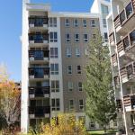 Walnut Park Apartment